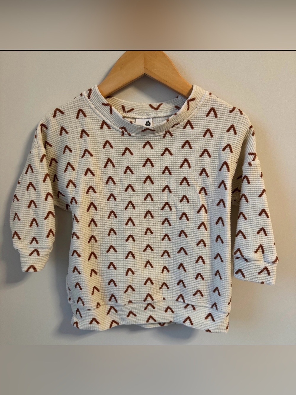 Dear Aspen Waffle-Knit Crewneck with Rust Arrow Pattern 18-24M